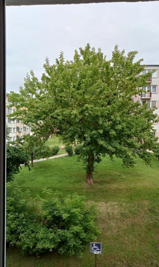 Apartament Mazury Kętrzyn Eksteriør billede