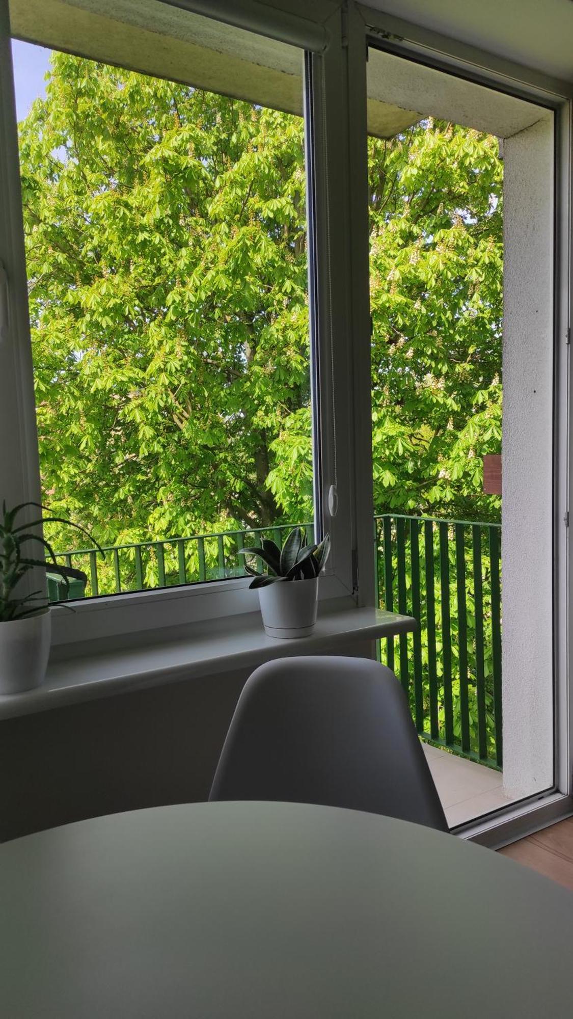 Apartament Mazury Kętrzyn Eksteriør billede